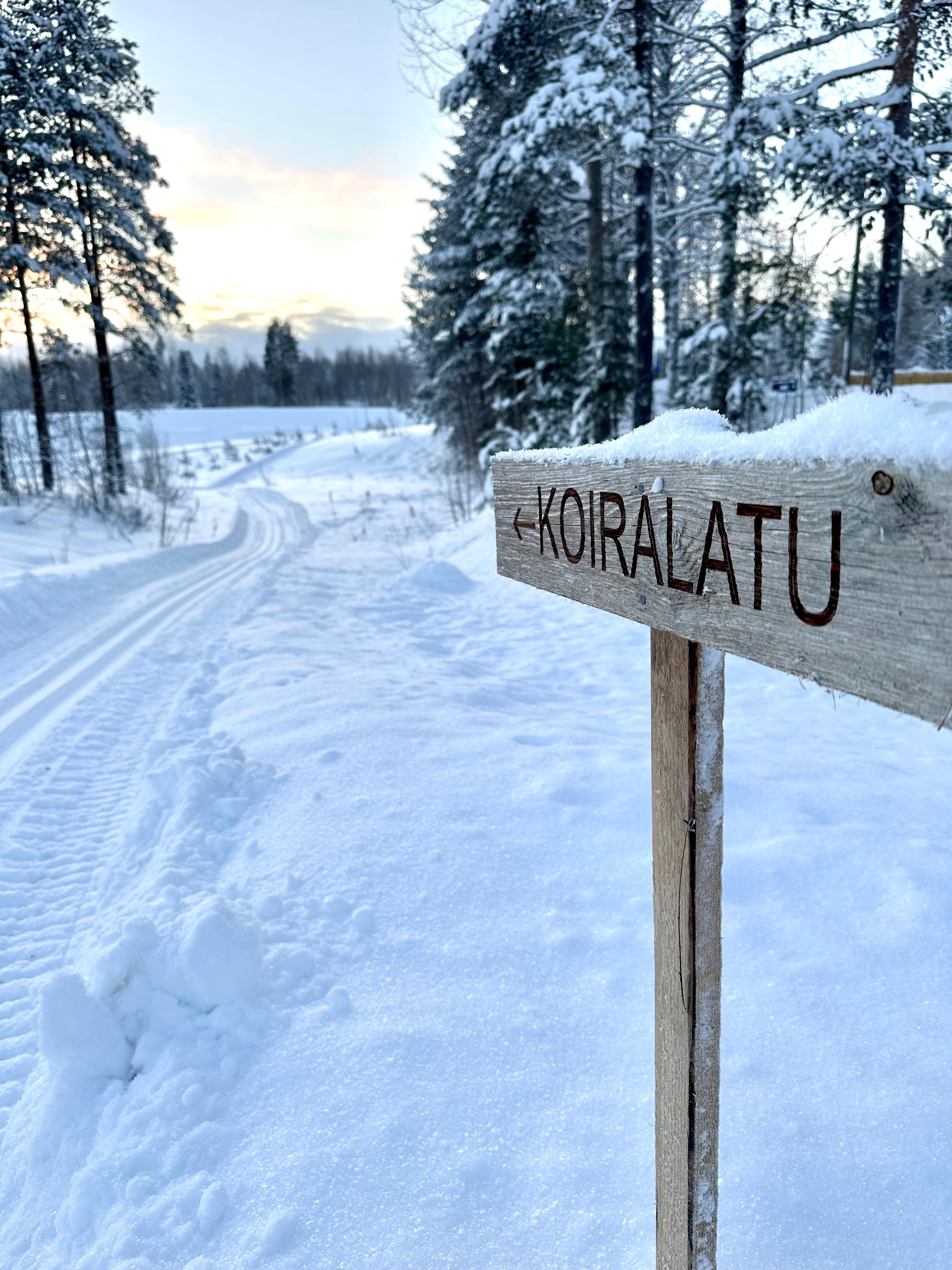 Koiralatu ja kyltti
